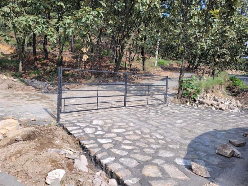 Acceso empedrado del desarrollo con portón metálico abierto hacia el bosque de encinos.