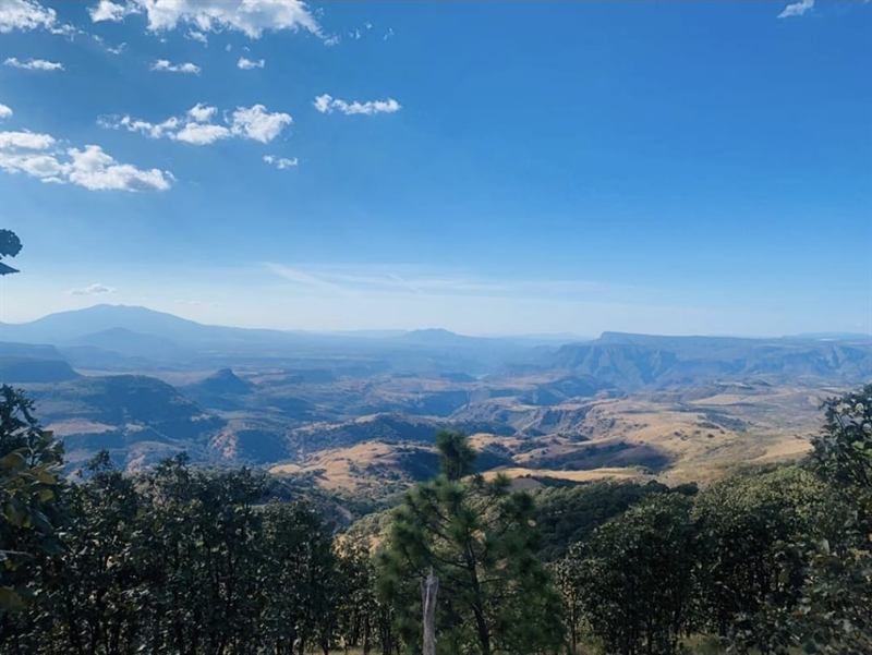 Panorámica de un cañón con laderas doradas de pasto seco y un río visible en el fondo.